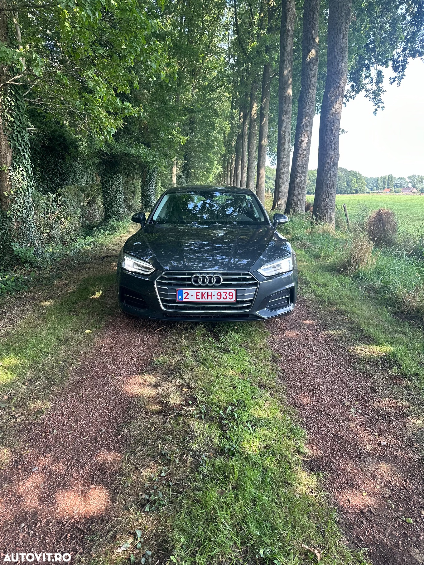 Audi A5 Sportback 2.0 TDI S tronic Design - 15