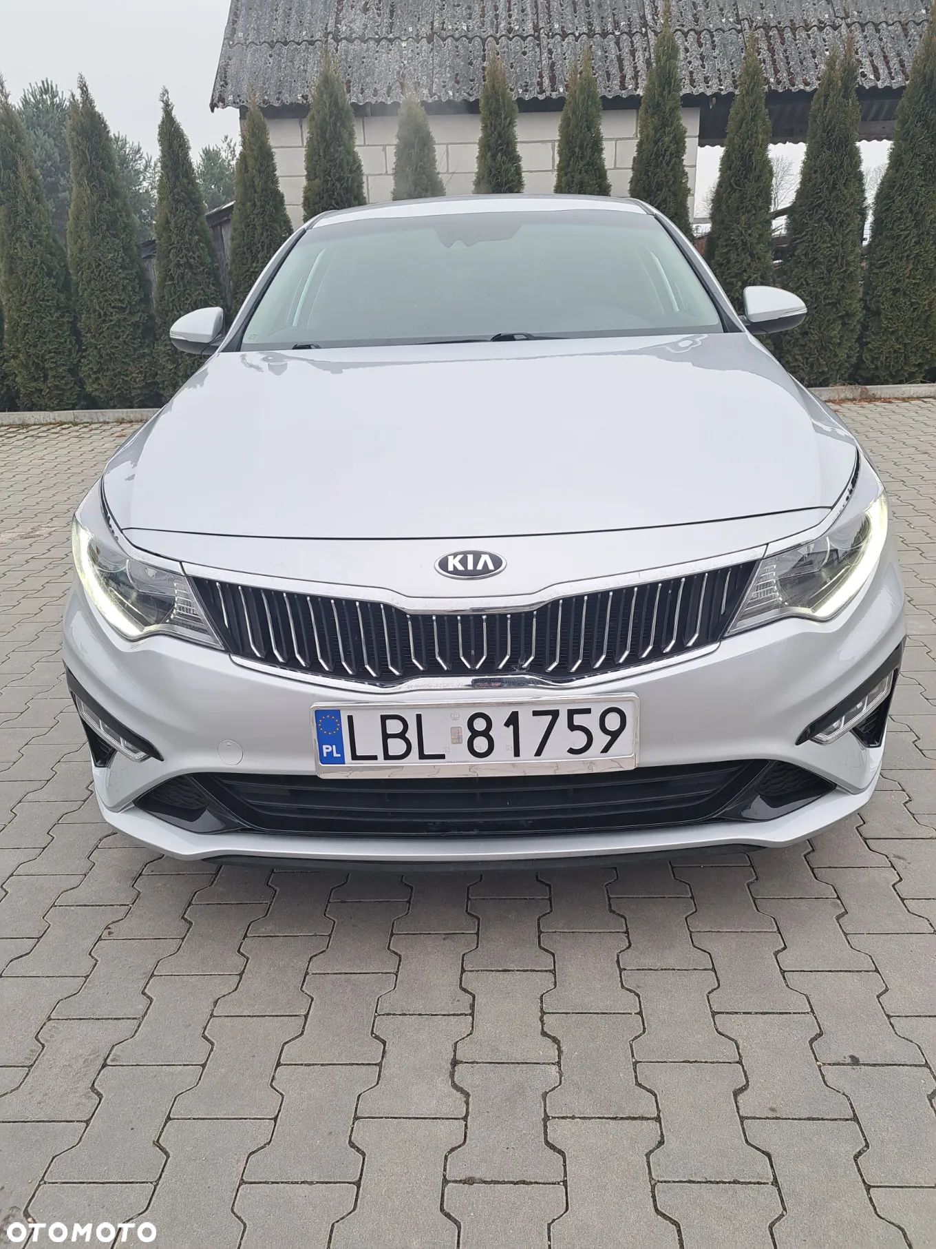 Kia Optima - 1