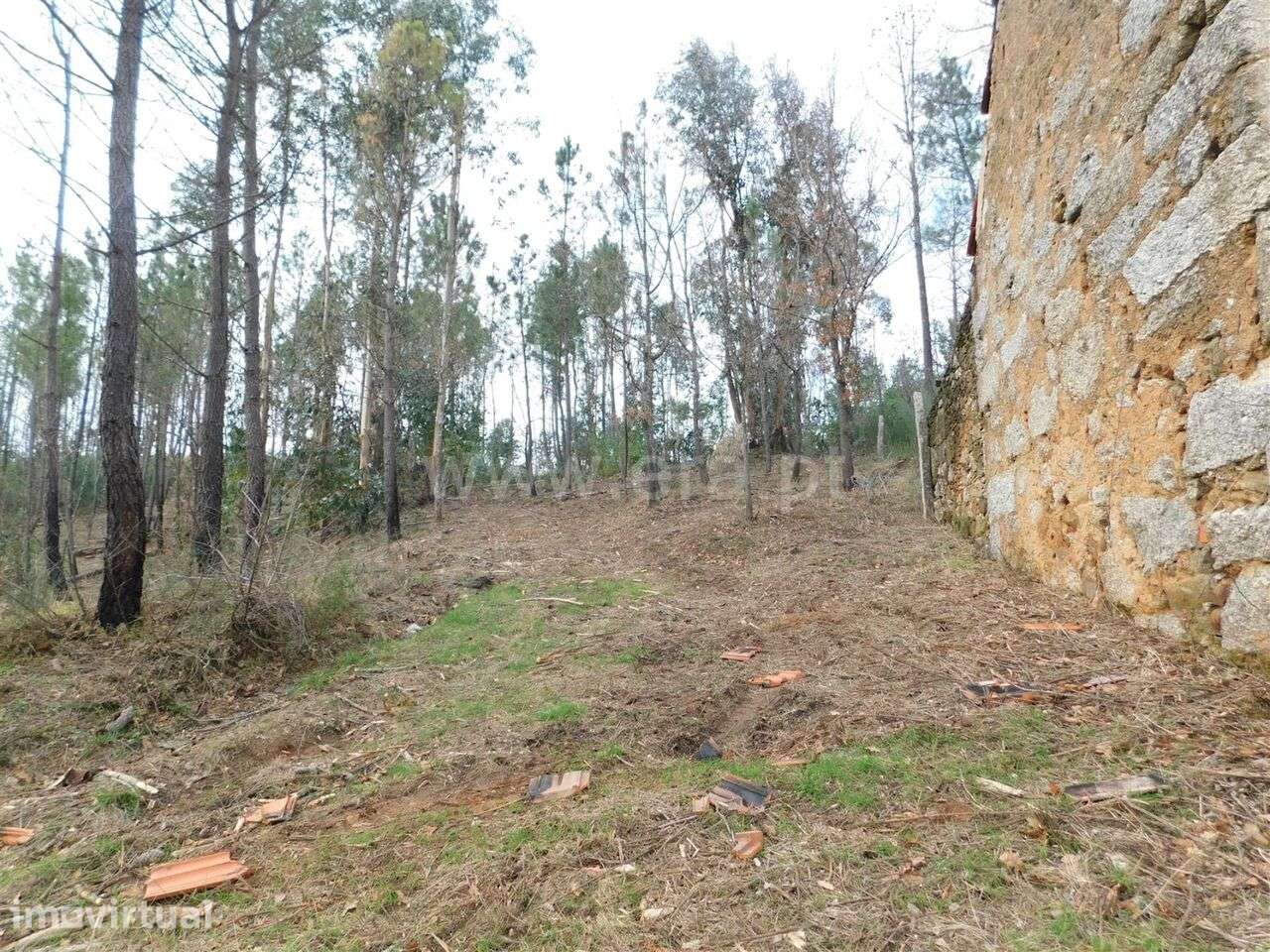 Terreno / Seia, Várzea de Meruge - Grande imagem: 3/4