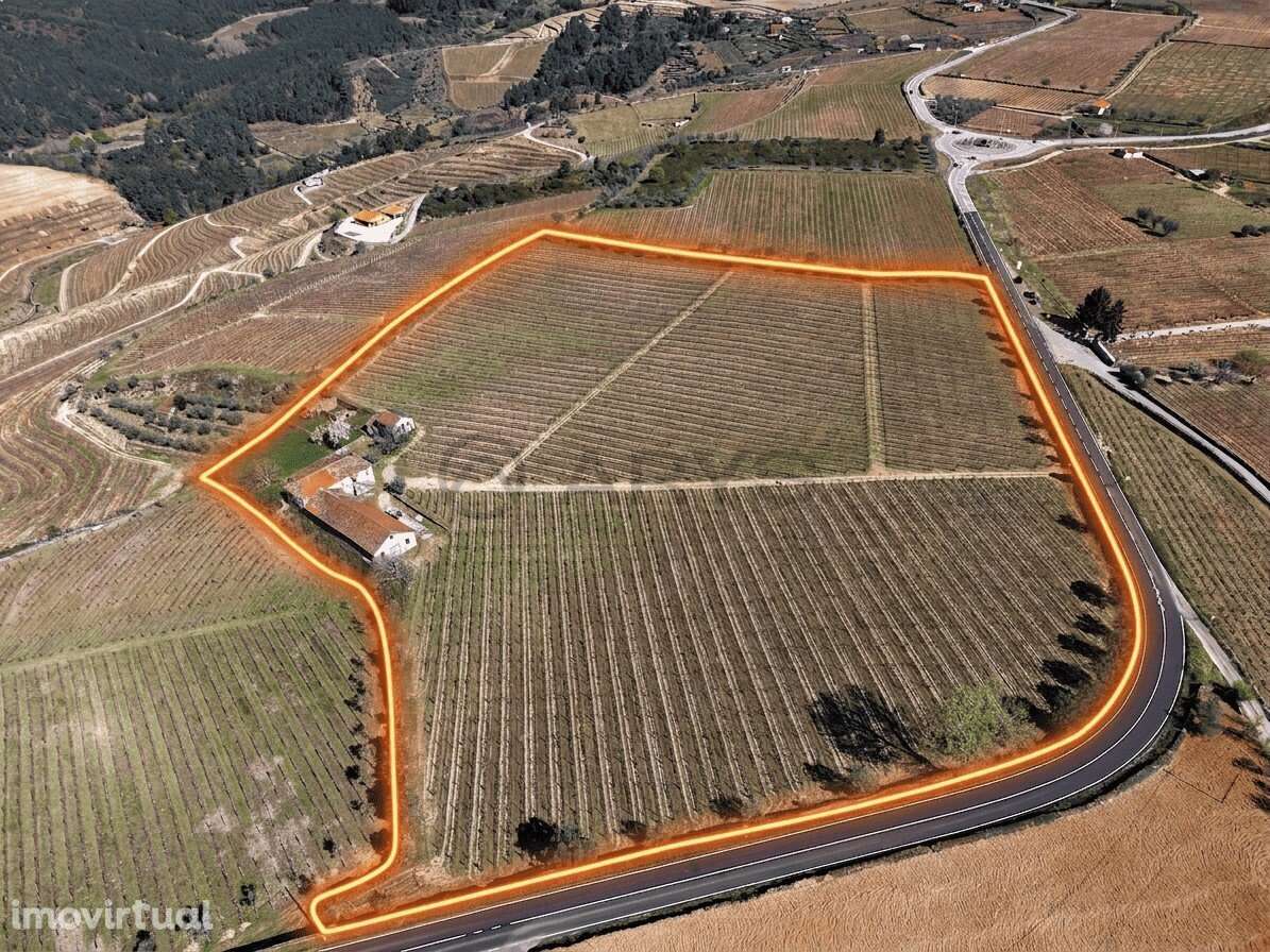 Quinta com vinha em Vila Real - Grande imagem: 2/28