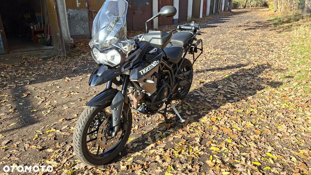 Triumph Tiger - 3