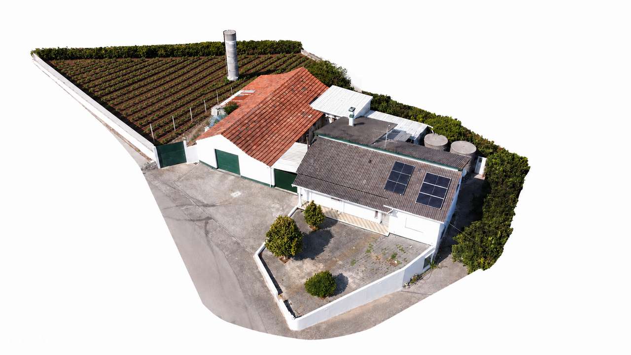 Moradia T3 com terreno privativo, excelente exposição solar - Grande imagem: 2/14
