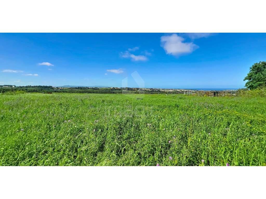 Terreno rústico inserido em zona urbana - Grande imagem: 2/7