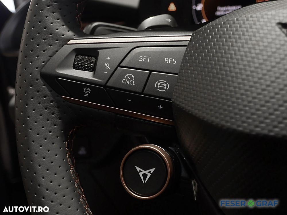 Cupra Terramar 2.0 TSI 4Drive DSG VZ - 12