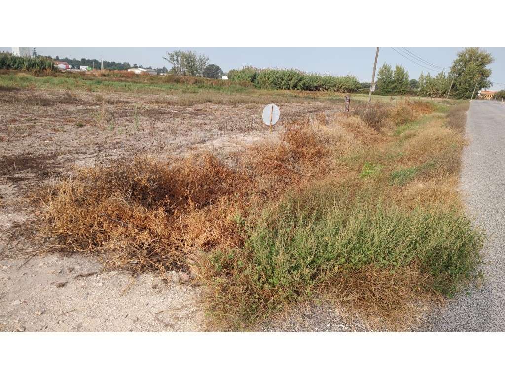 Terreno/ construção de moradias- Foros Salvaterra de Magos - Grande imagem: 4/6