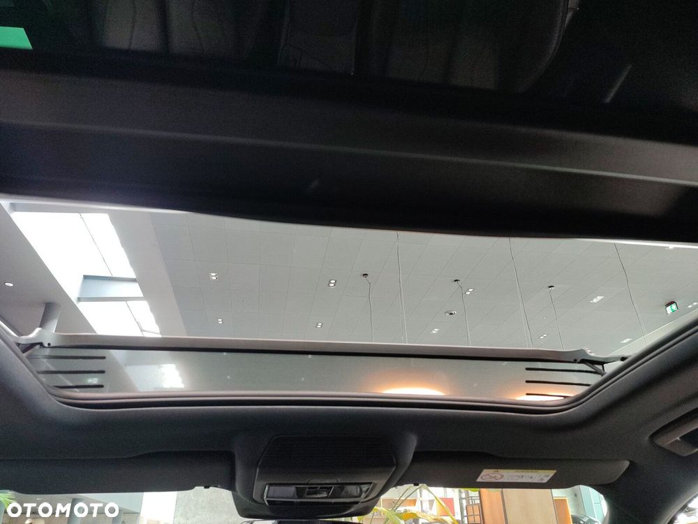 Cupra Terramar - 20