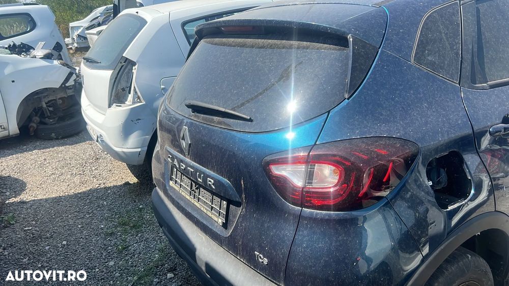 ORNAMENT HAION CAPTURE - 2