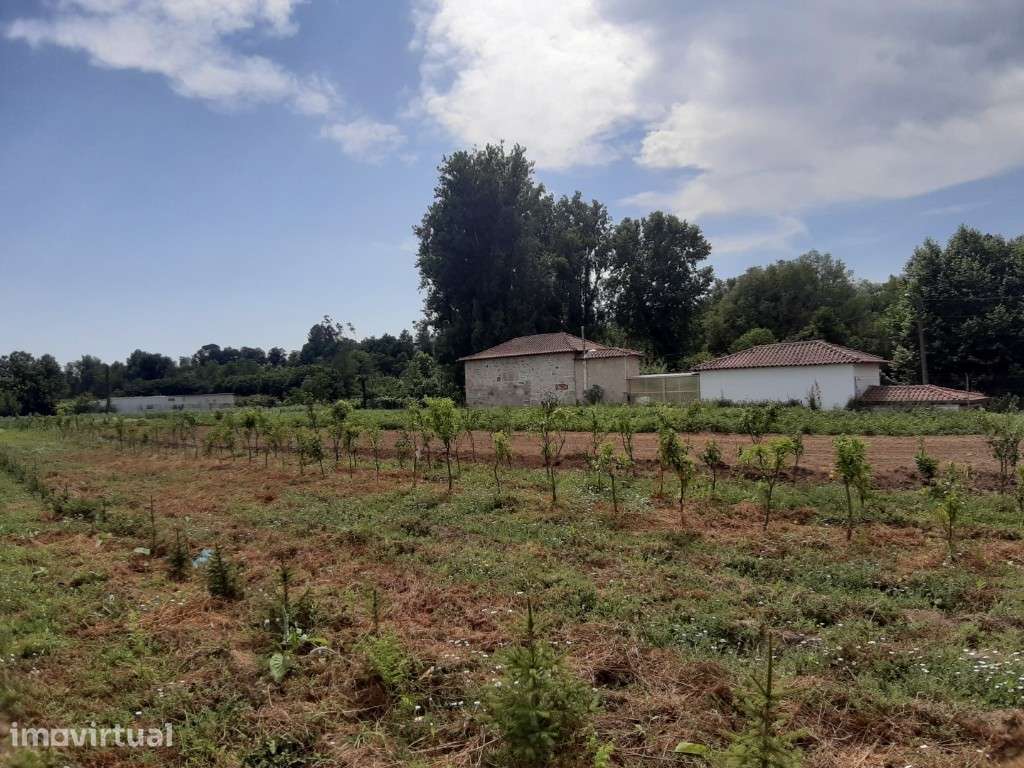 Terreno Agrícola / Ecológico - Rendufe - Grande imagem: 4/13