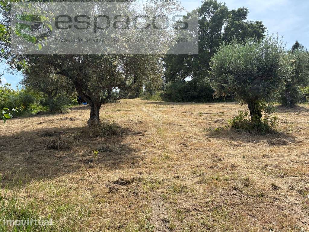 Terreno Urbano - Grande imagem: 2/24