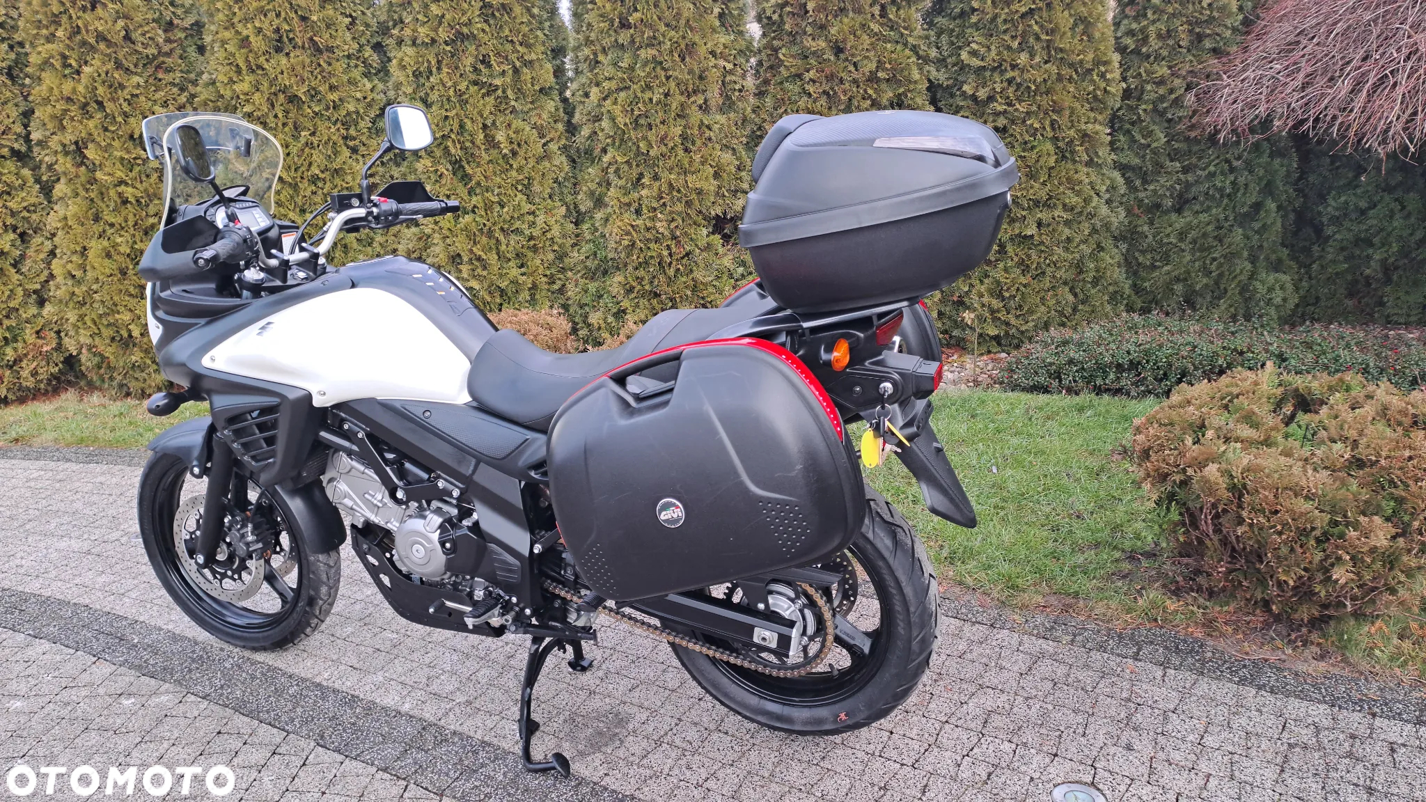 Suzuki DL - 6
