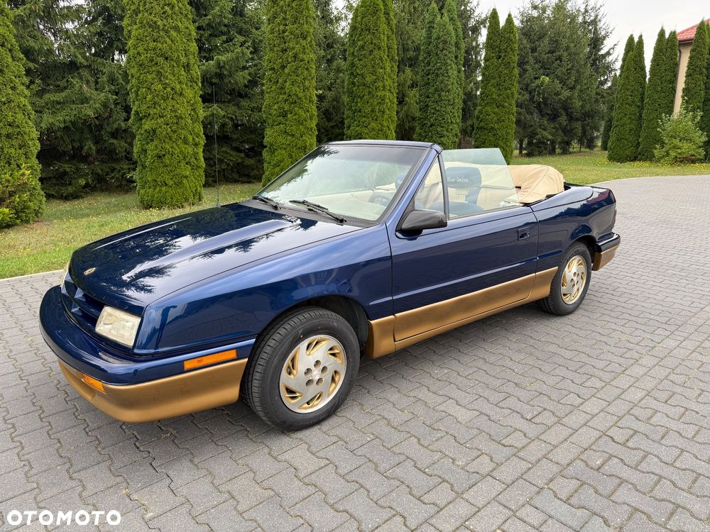 Dodge Inny - 13