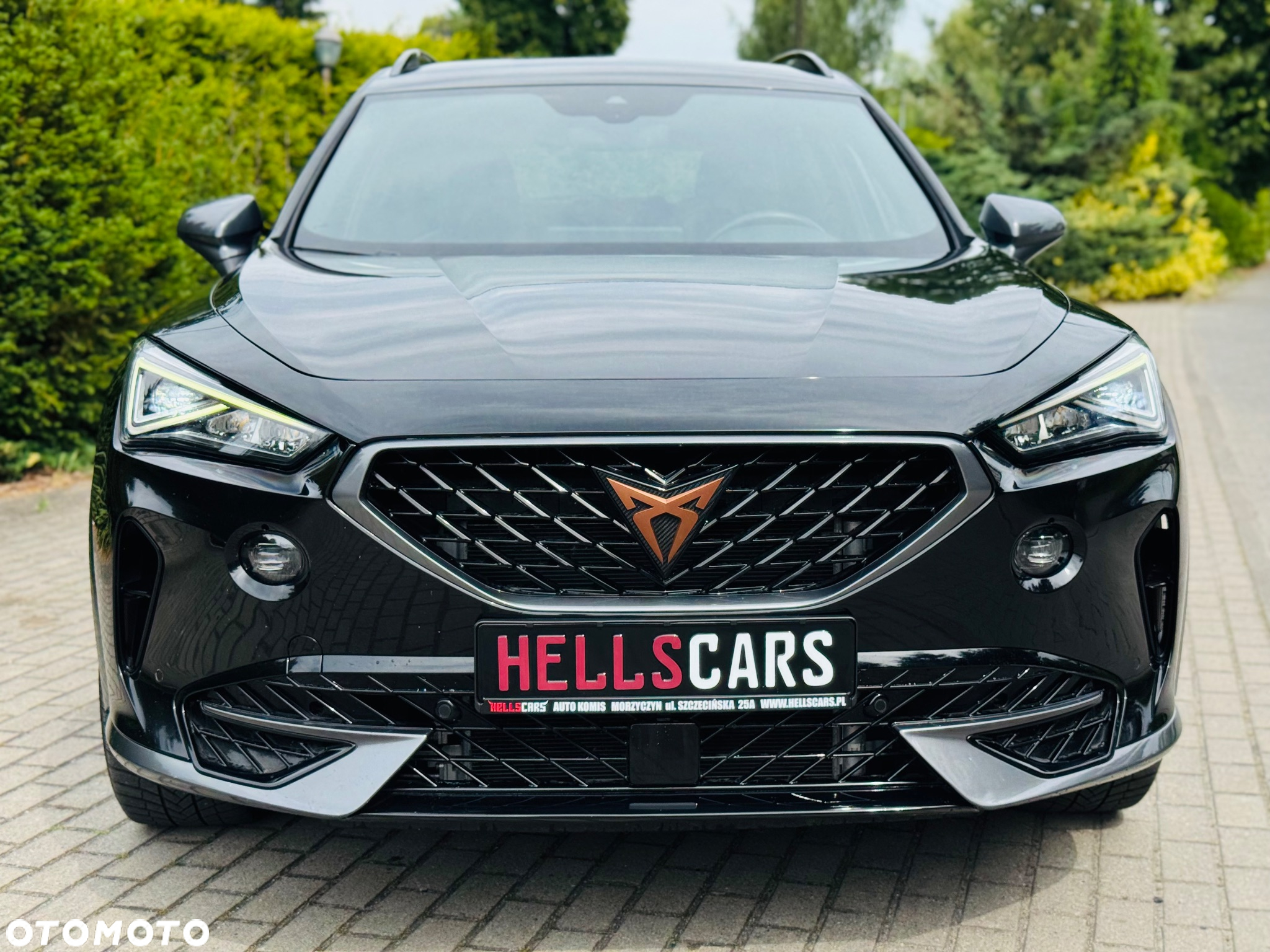 Cupra Formentor 2.0 TDI 4Drive DSG Tribe Edition - 18