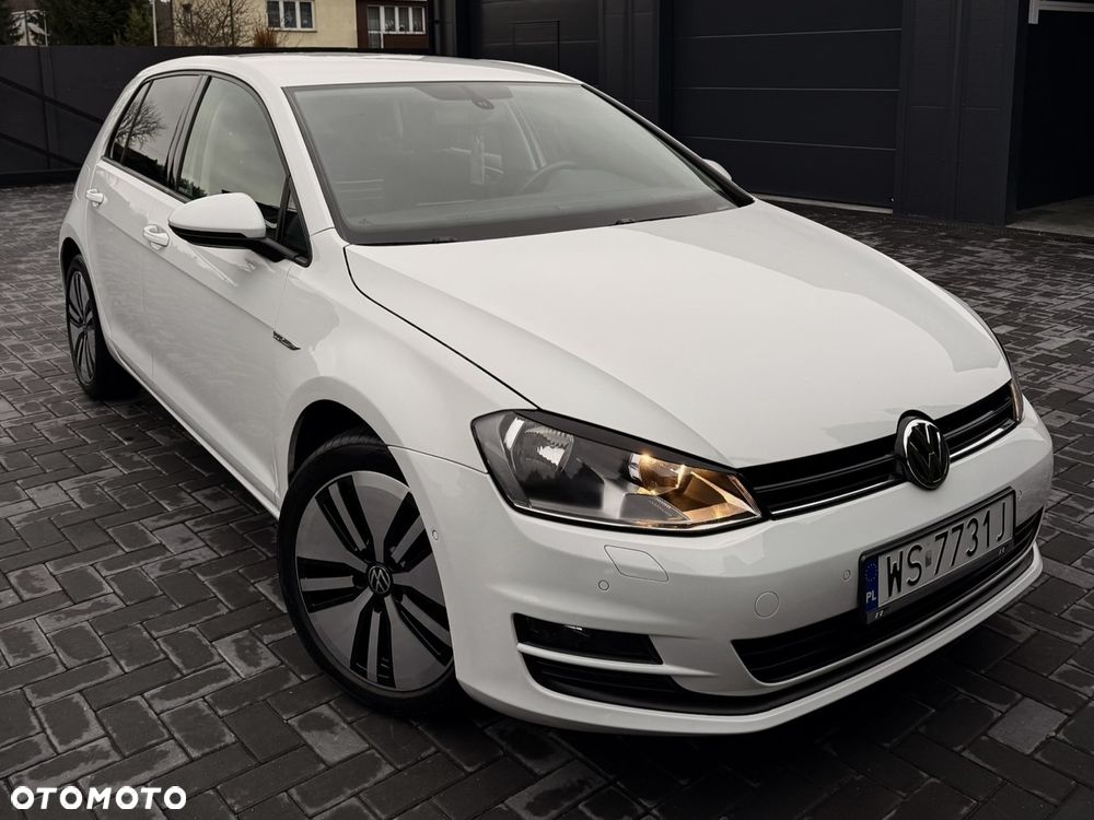 Volkswagen Golf 1.6 TDI BlueMotion Technology Trendline - 10
