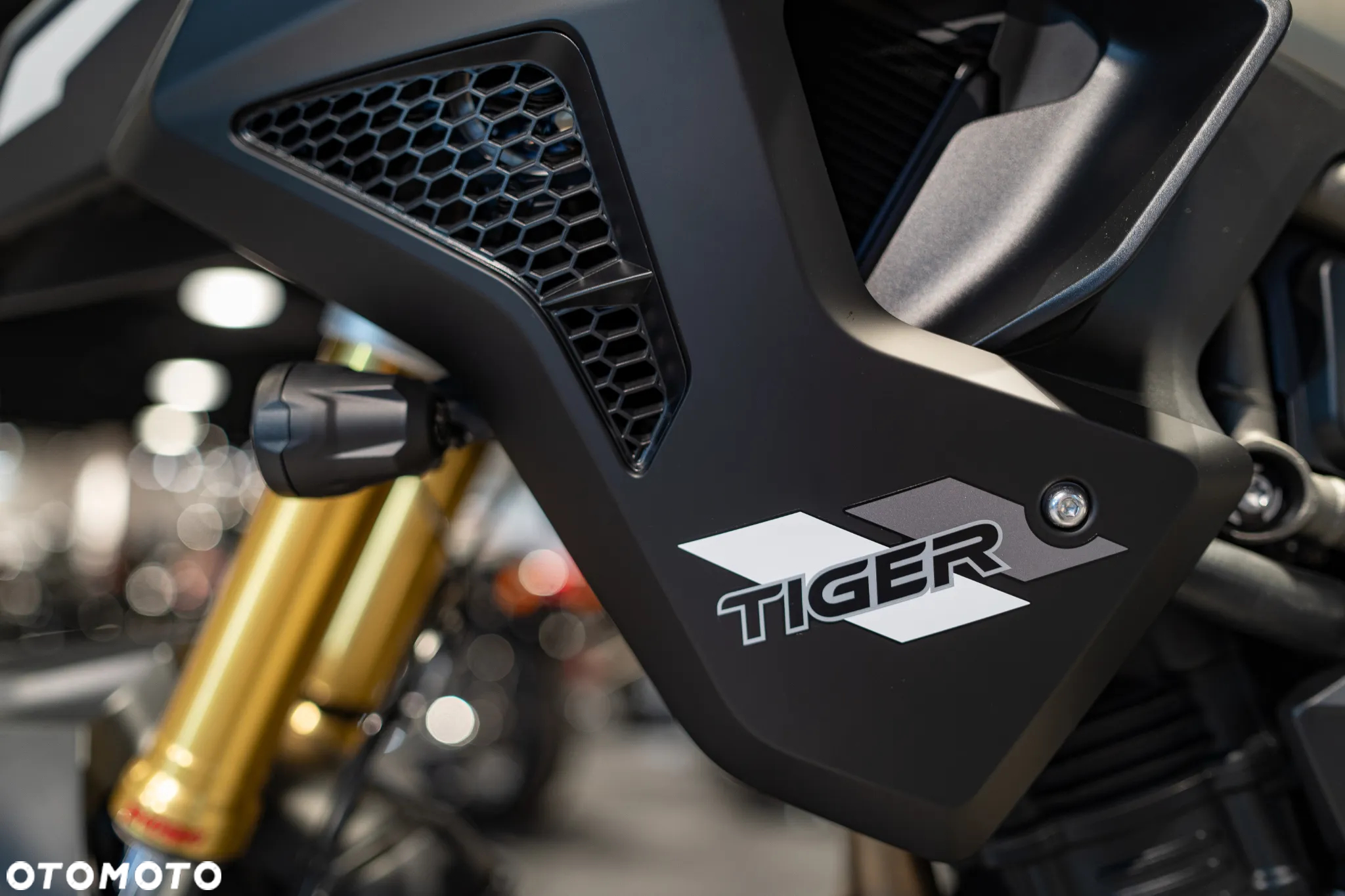 Triumph Tiger - 17