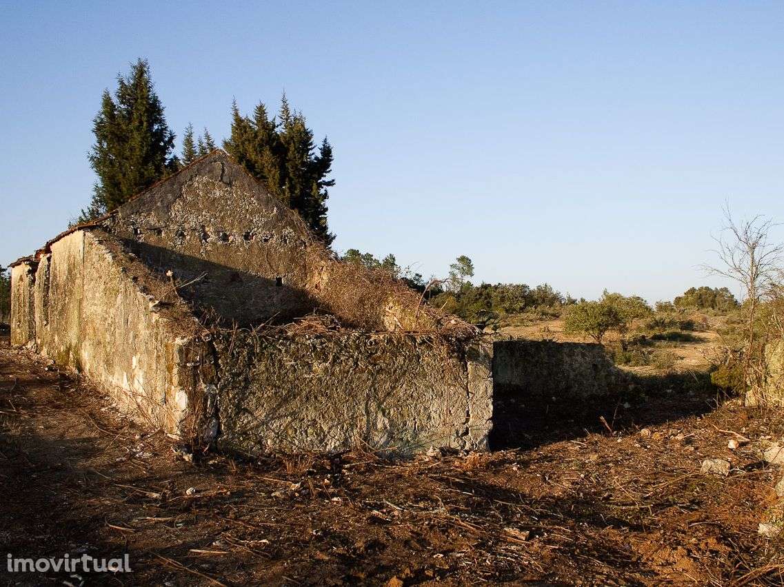 Quinta com 14.754 m2 para Reconstruir - Grande imagem: 3/19