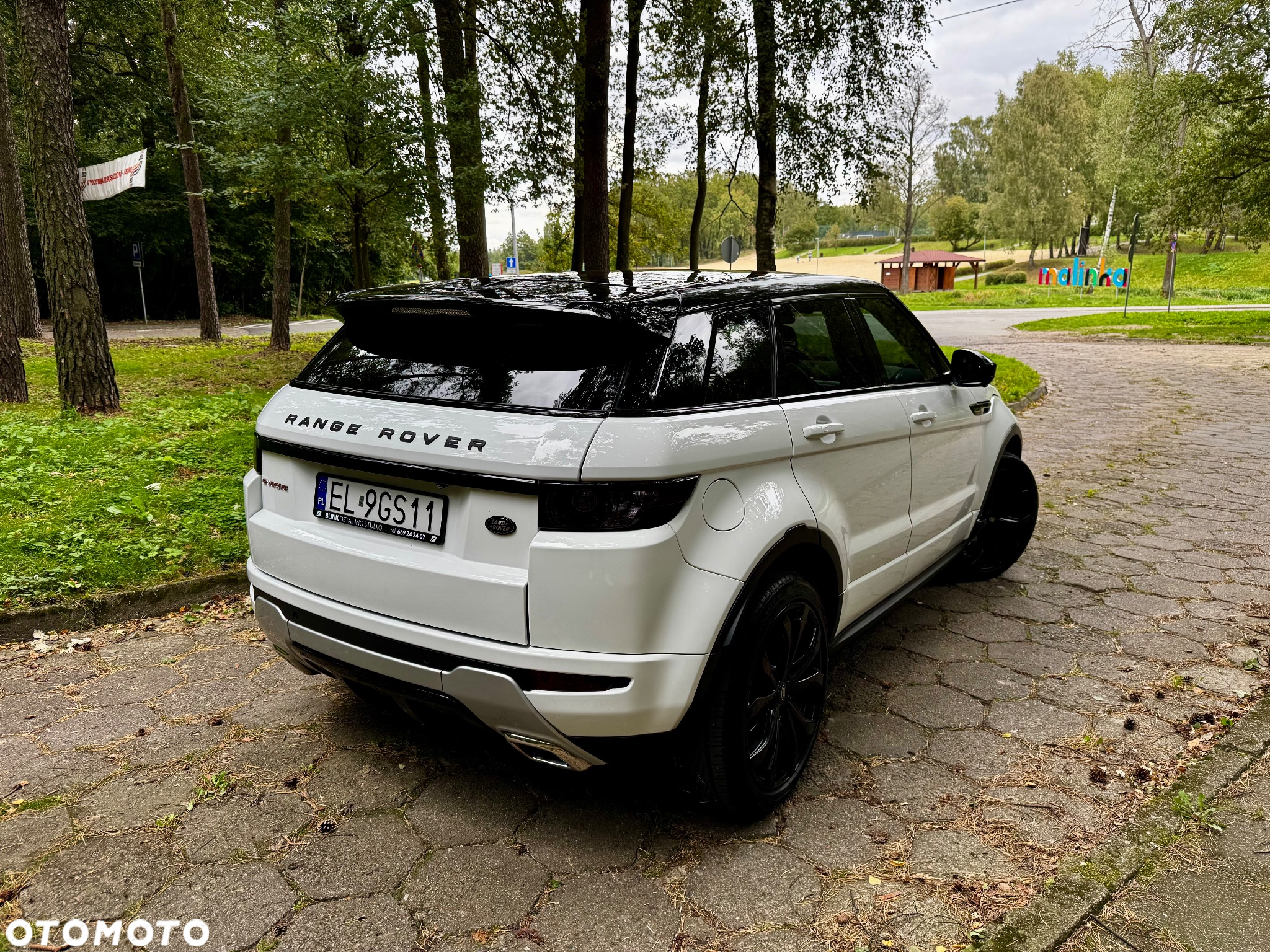 Land Rover Range Rover Evoque 2.0Si4 SE Dynamic - 5