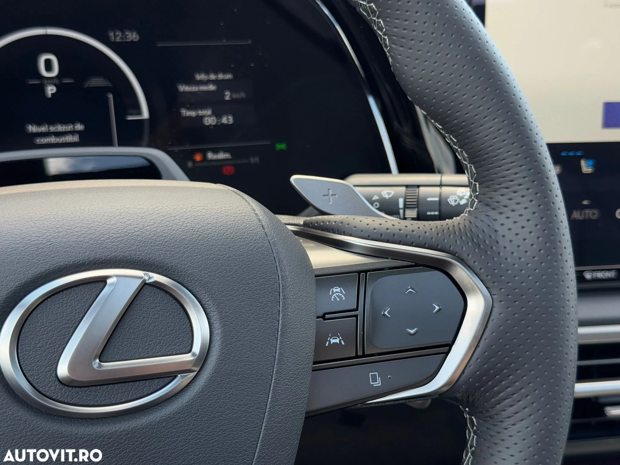 Lexus Seria RX - 25