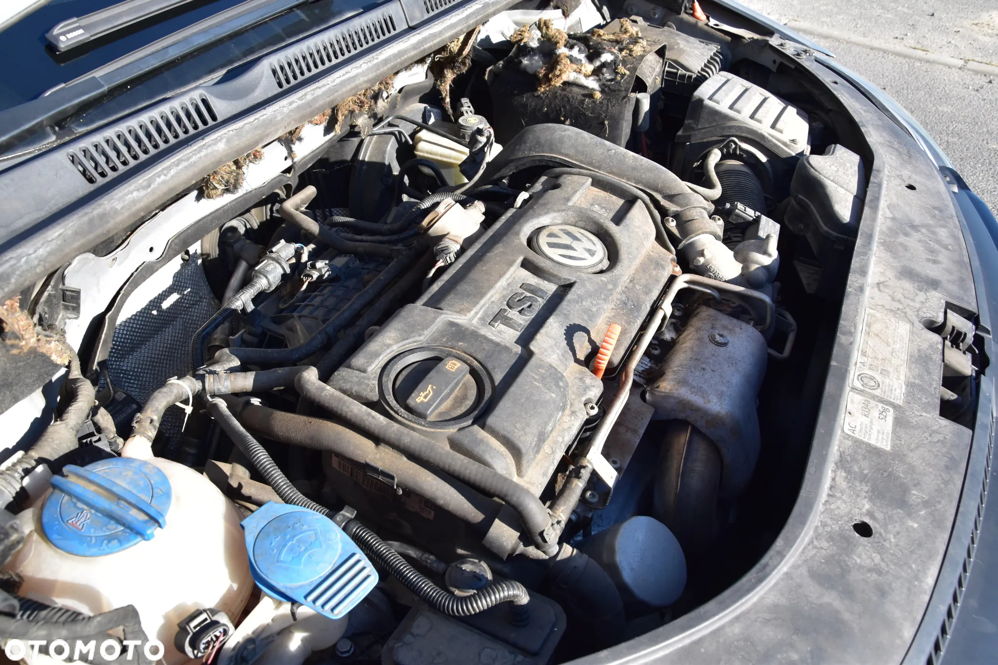 Volkswagen Golf VI 1.4 TSI Trendline - 17
