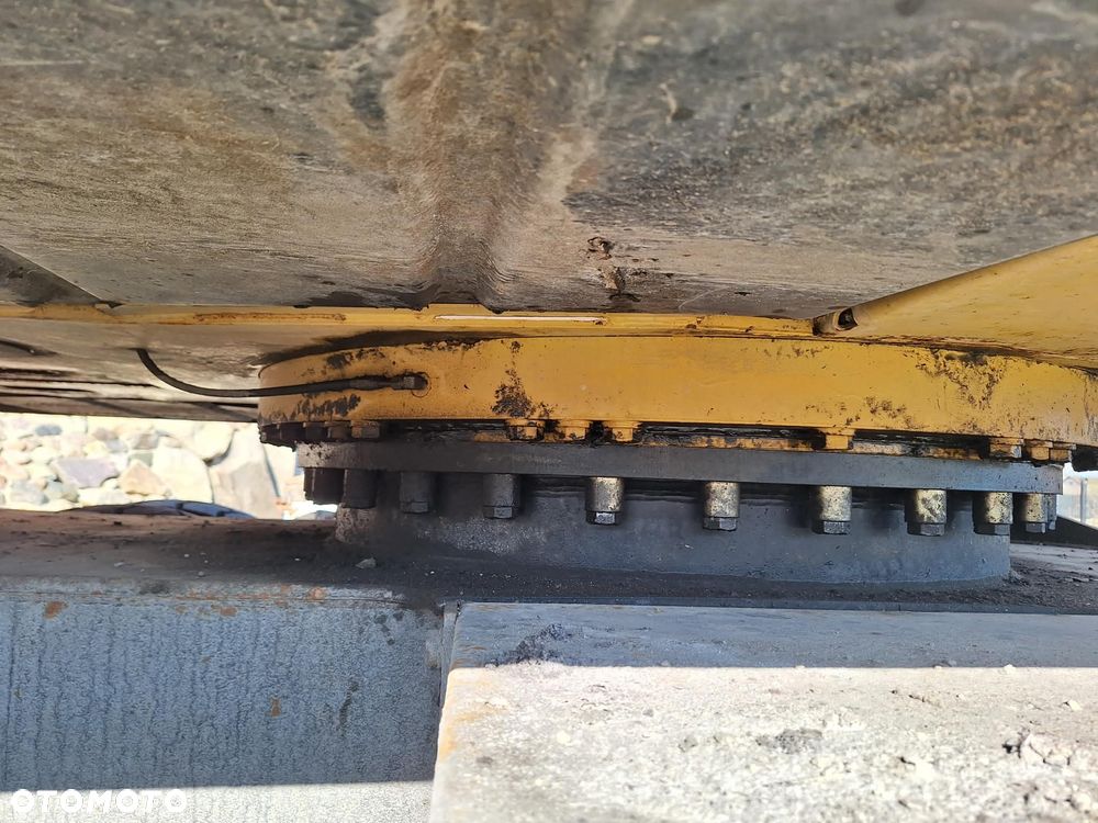 Caterpillar - 8