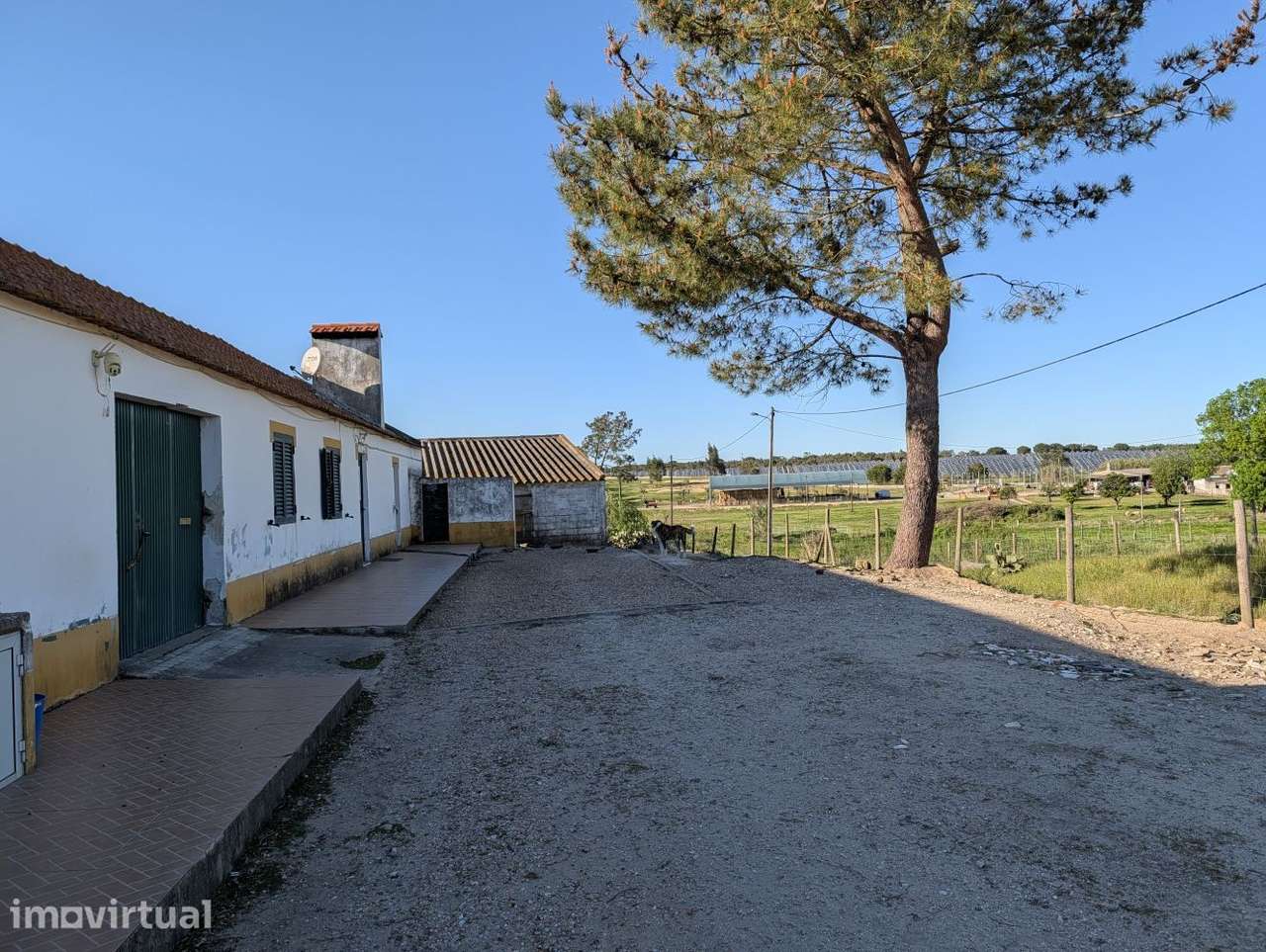Quinta com Moradia Bifamiliar + 2,5 Hectares em Pegões |... - Grande imagem: 3/12