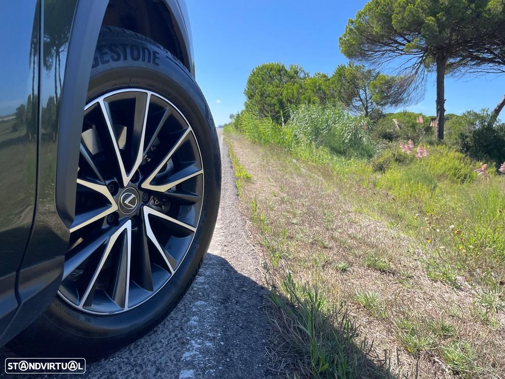 Lexus NX 450h+ - 21