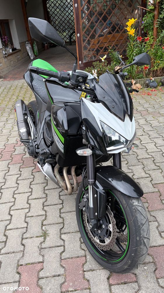 Kawasaki Z - 10