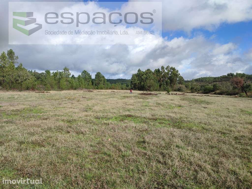 Terreno rústico a confinar com pequeno ribeiro - Sarzedas - Grande imagem: 3/17