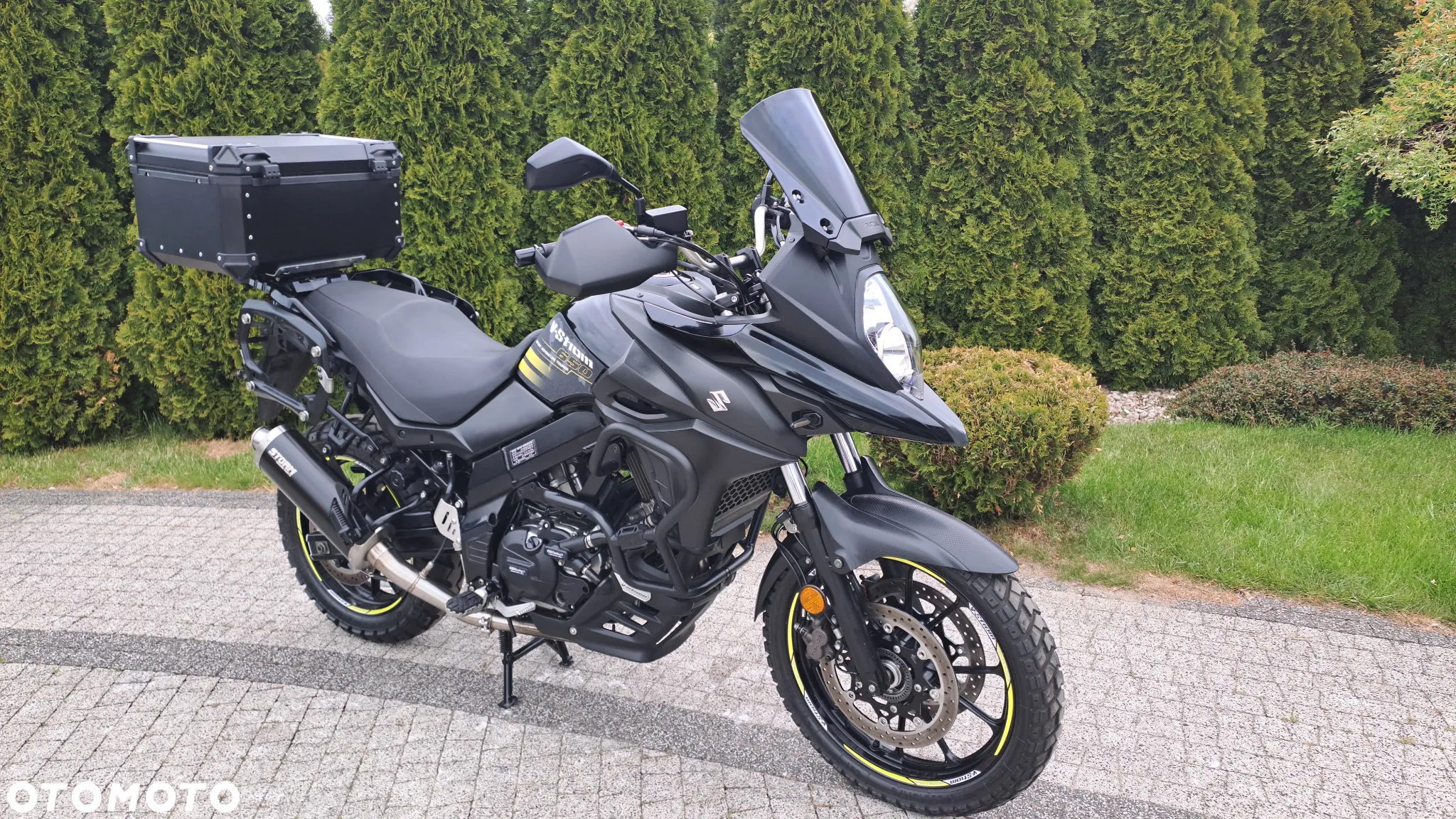 Suzuki DL - 3