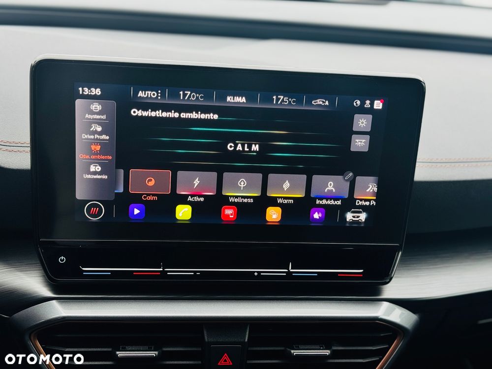 Cupra Formentor 1.5 TSI DSG Tribe Edition - 15