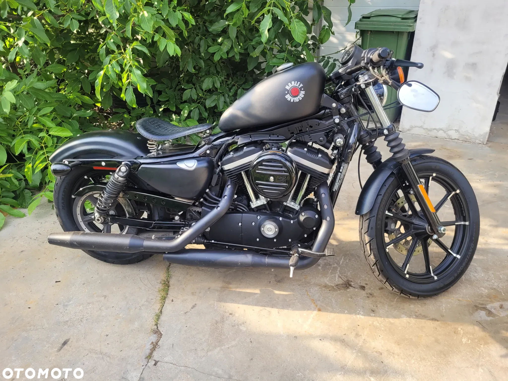 Harley-Davidson Sportster Iron 883 - 7