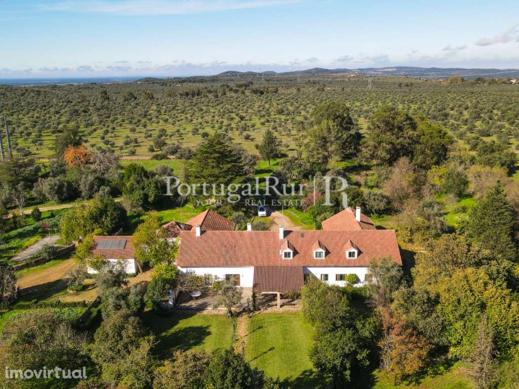 Quinta Senhorial - Vocação Turistica - T11 | a 5 minutos Estremoz e A6 - Grande imagem: 3/60