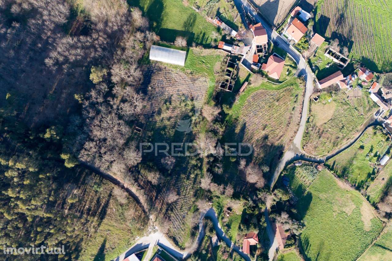 Quinta com casa 300M2 em Serzedelo, Póvoa de Lanhoso, Braga - Grande imagem: 3/23