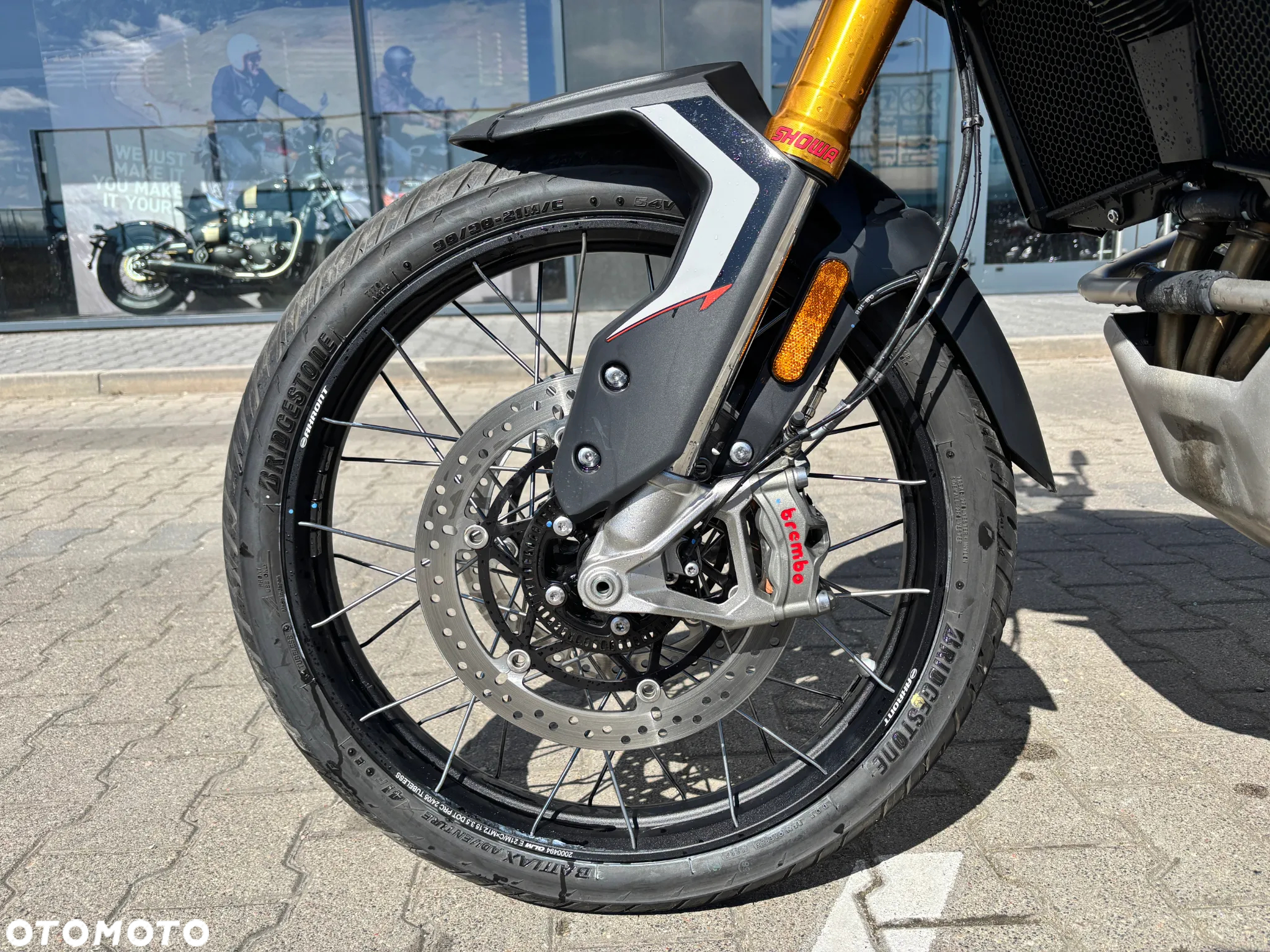 Triumph Tiger - 13