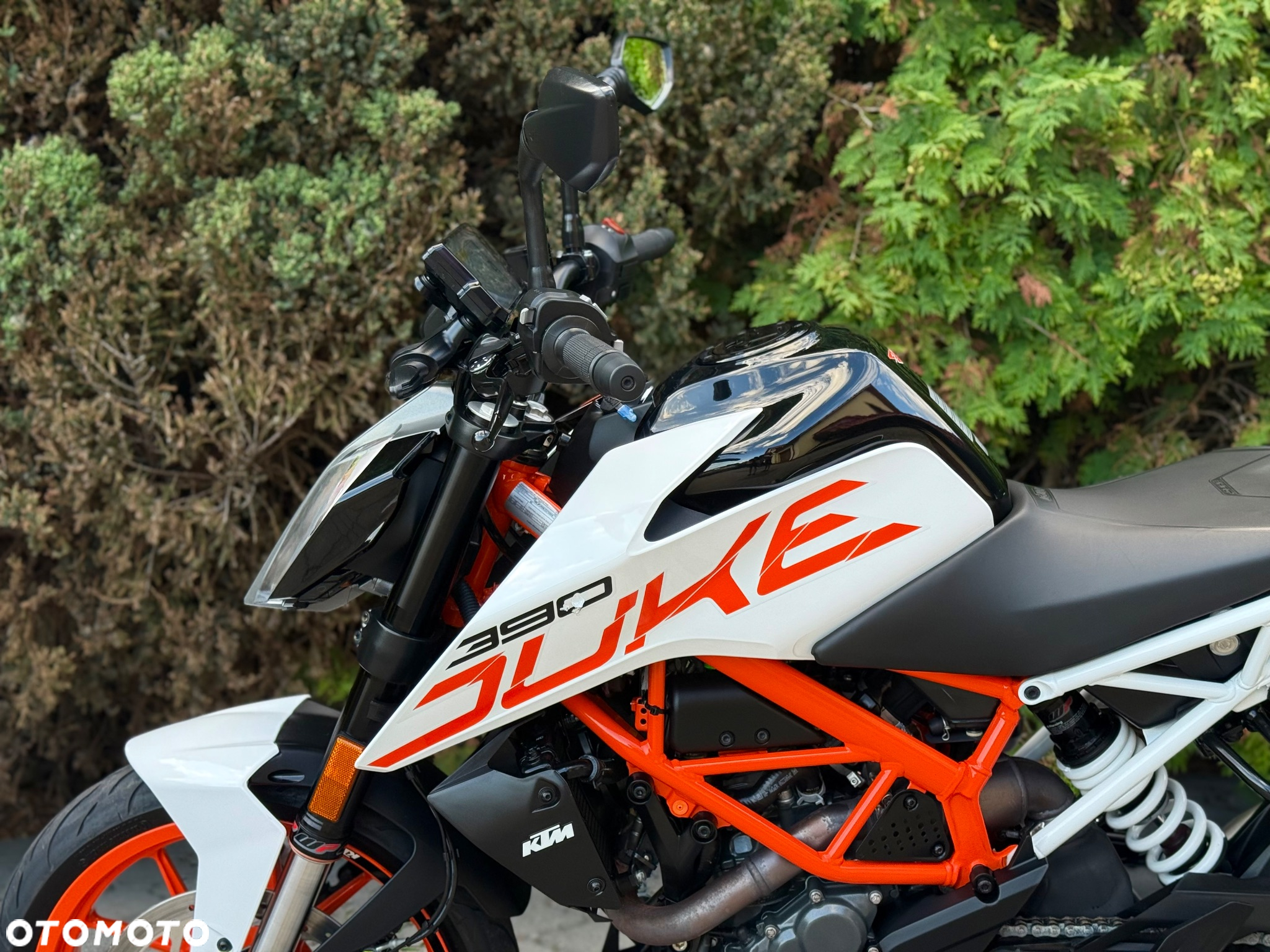 KTM Duke - 27