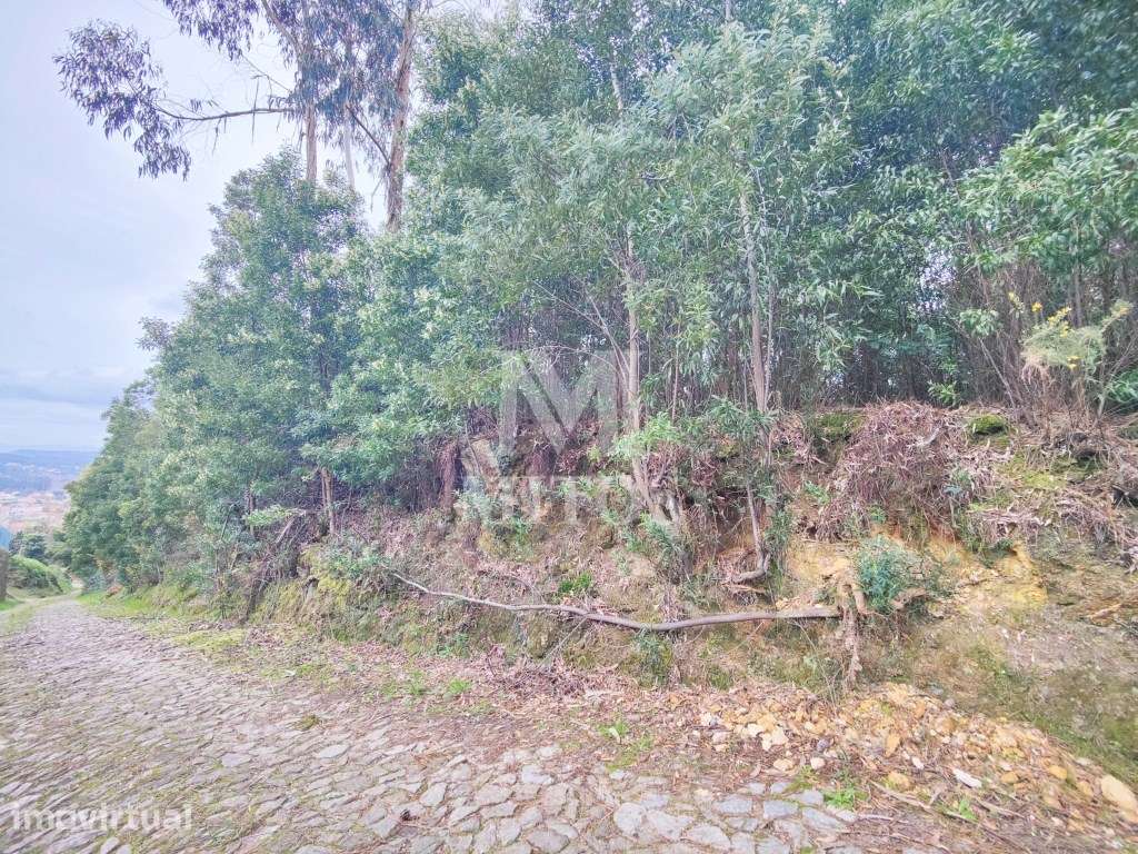 Terreno destinado a construção para venda em Venade - Caminha - Grande imagem: 2/6