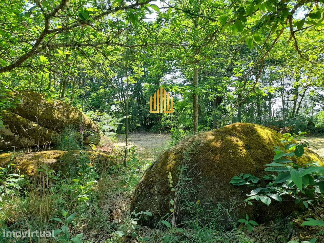 Terreno Plano com 21.500m2 Região Douro Vinhateiro Ótimo para Turismo. - Grande imagem: 3/43