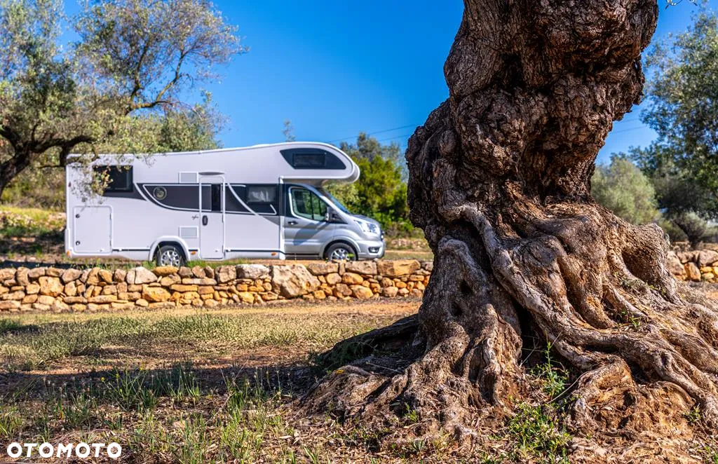 Benimar Sport 363 - 5