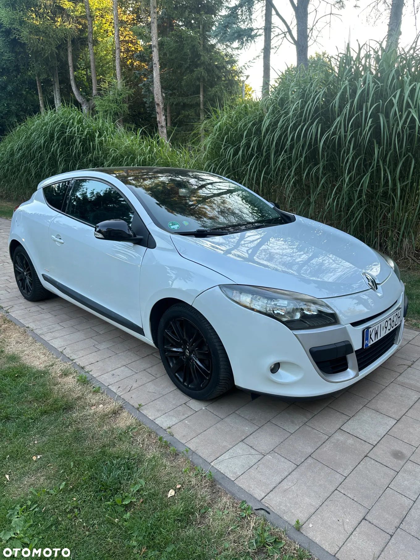 Renault Megane - 1