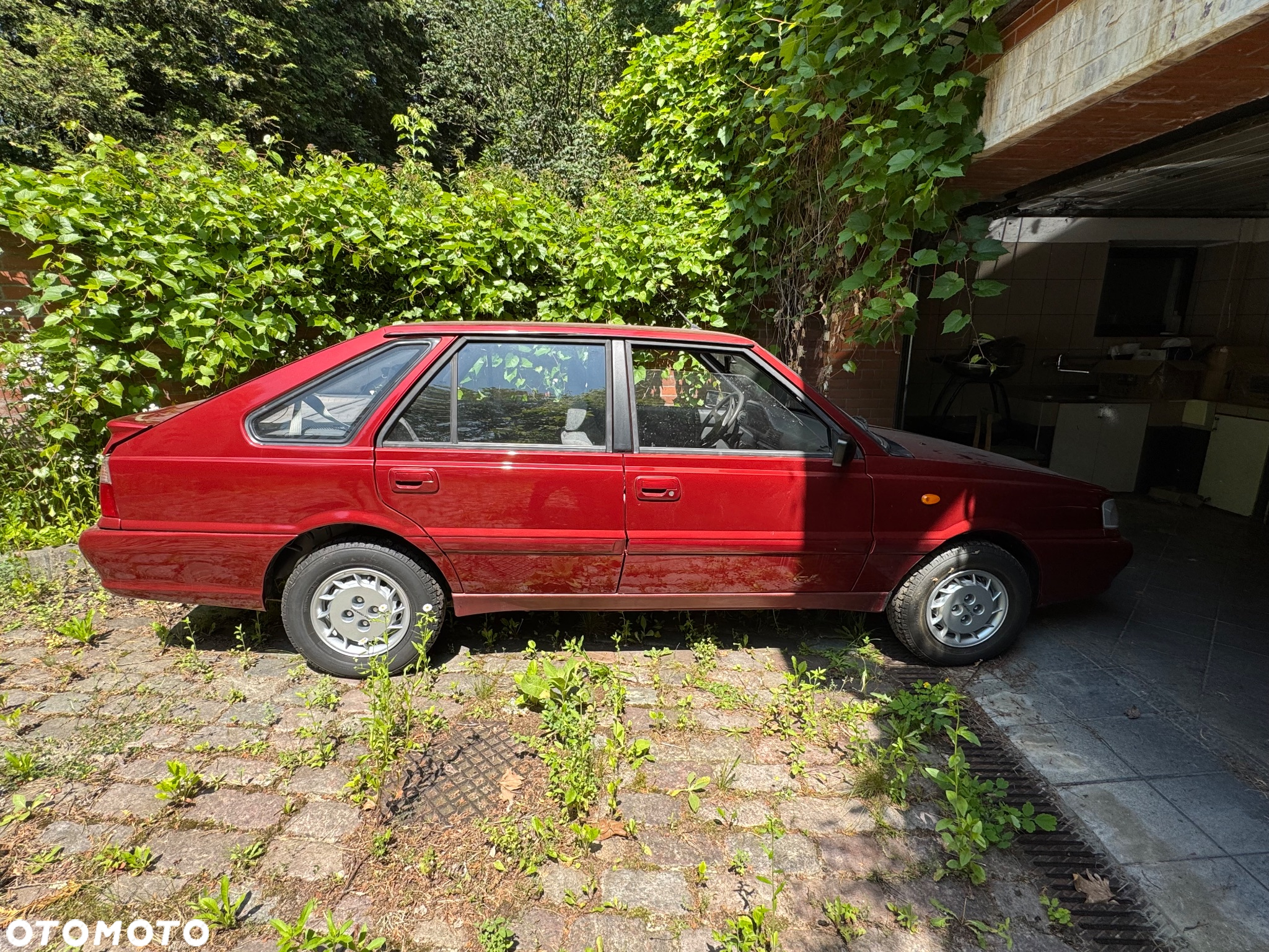 Polonez Caro - 11