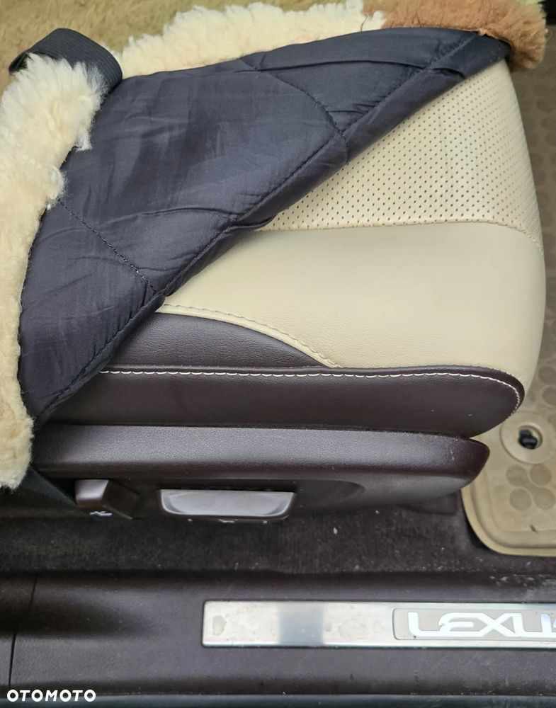 Lexus RX 450h Elegance - 18