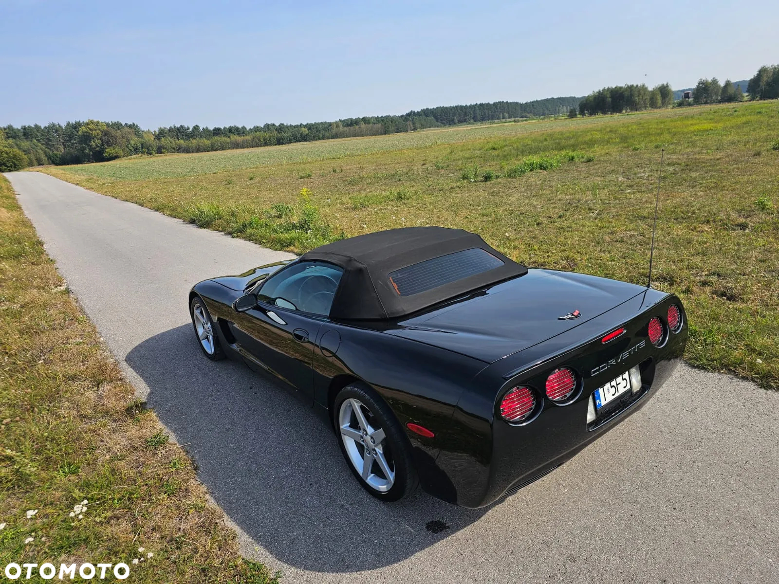 Chevrolet Corvette - 6