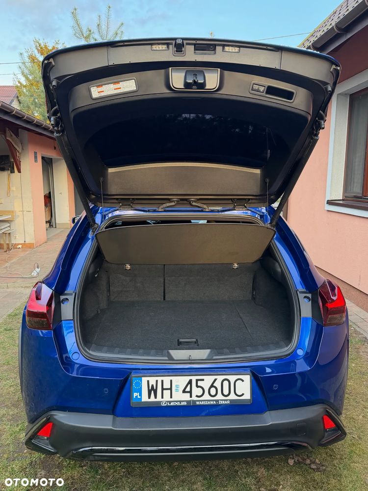 Lexus UX 250h F Sport 2WD - 16