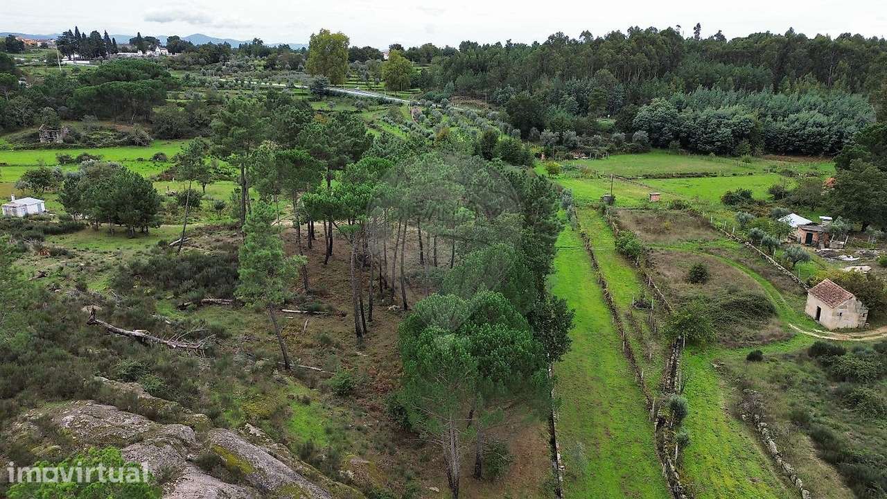 Terreno  para venda - Grande imagem: 4/6