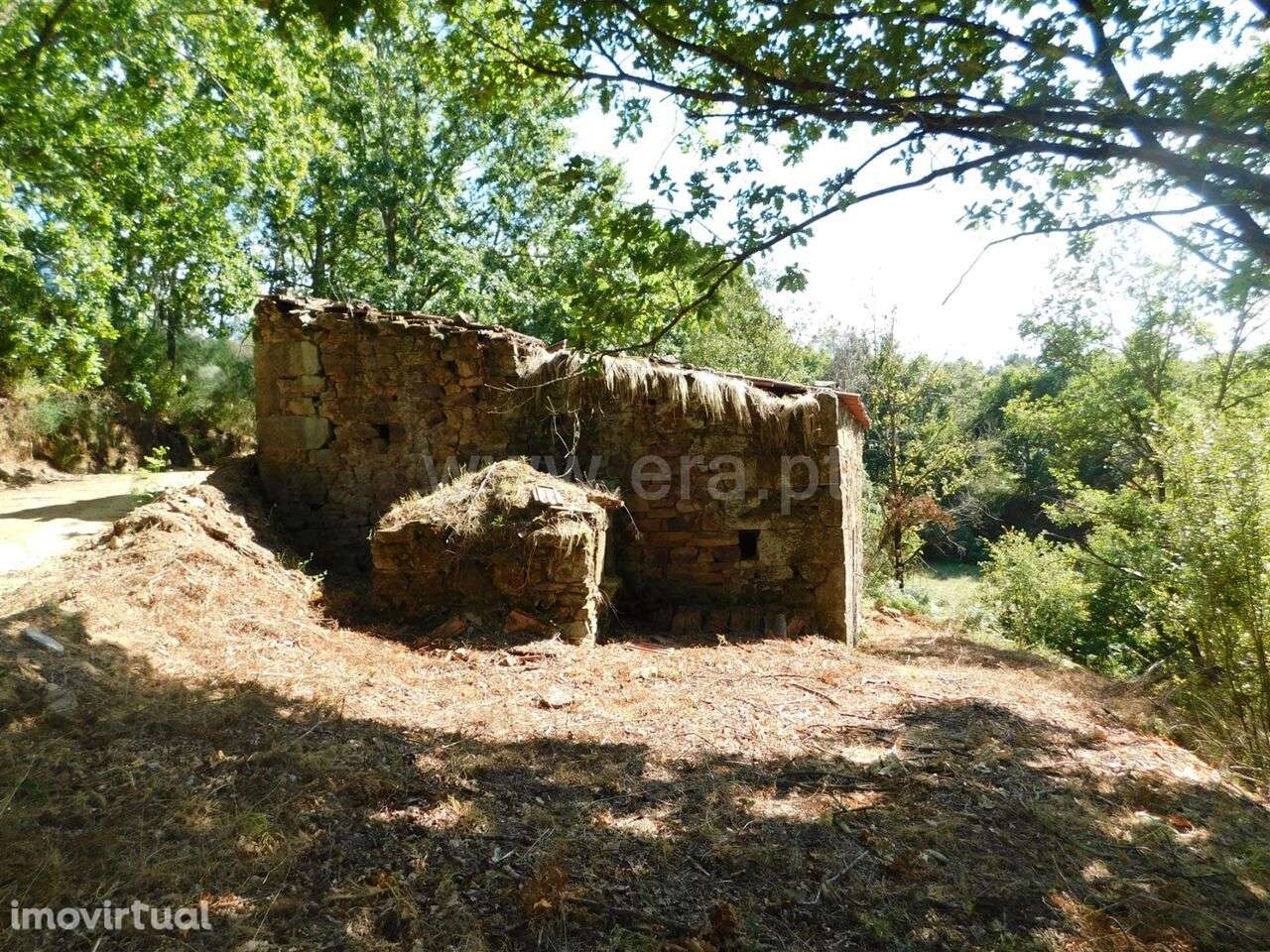 Terreno com ruina / Seia, Seia - Grande imagem: 3/10
