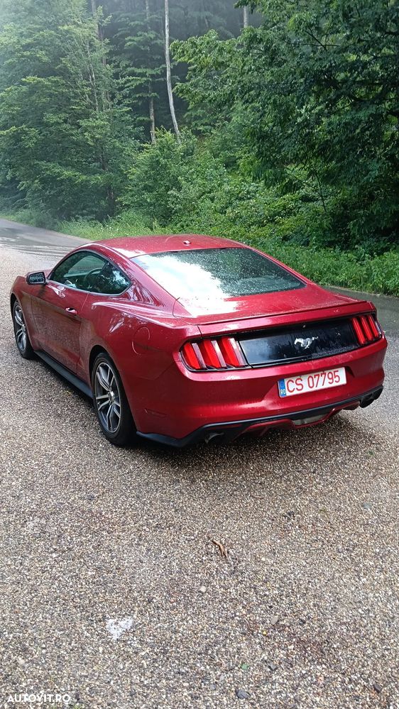 Ford Mustang 2.3 EcoBoost Aut. - 11