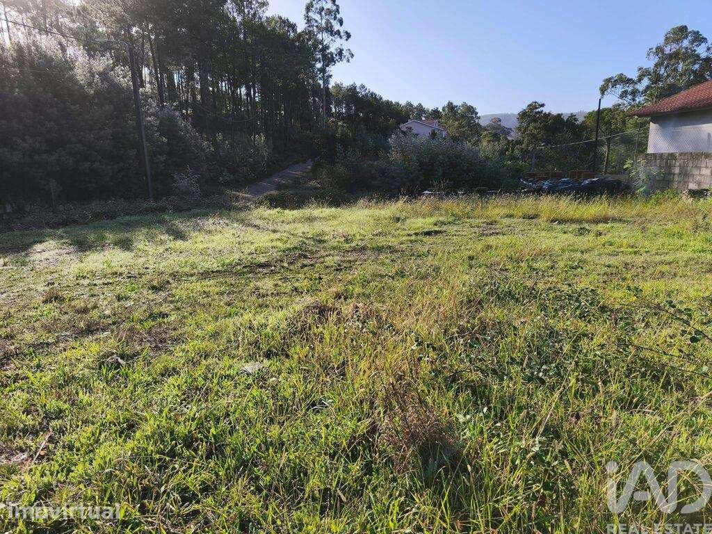 Terreno em Venade e Azevedo