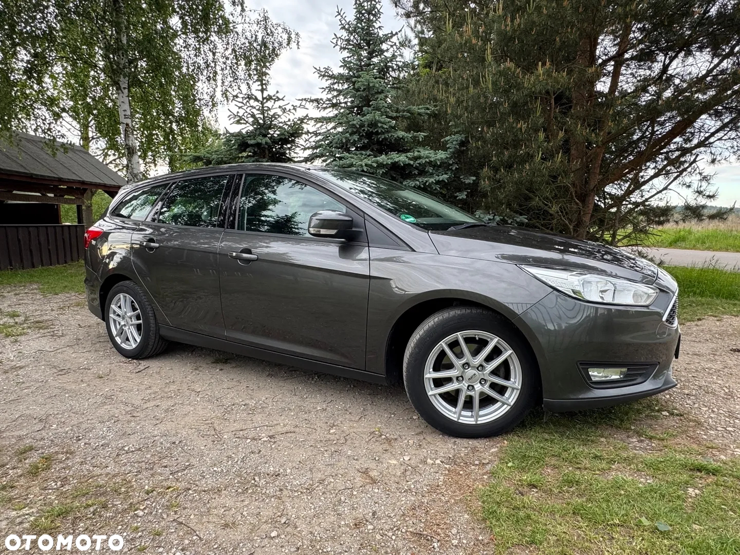 Ford Focus - 24