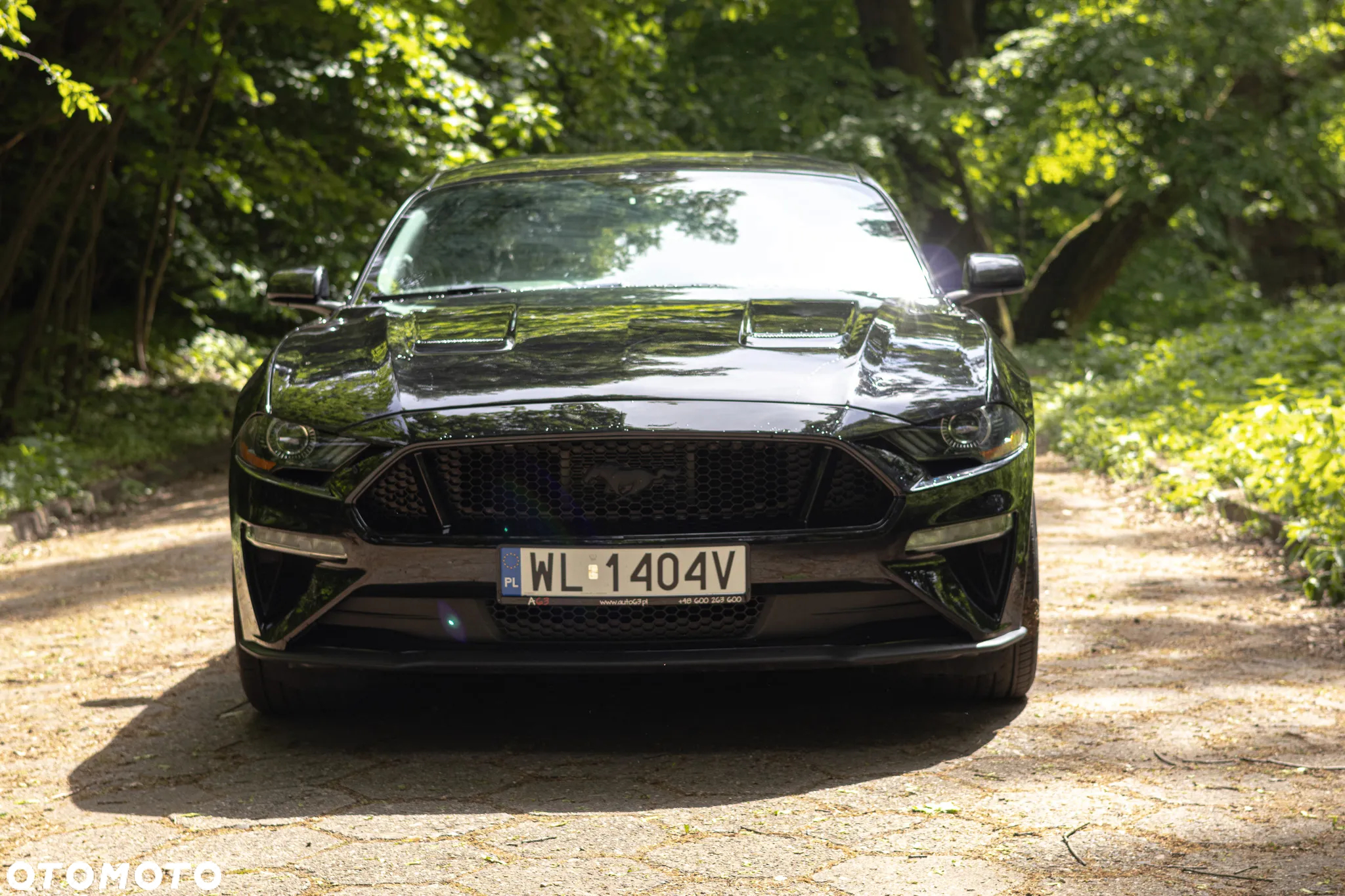 Ford Mustang - 2