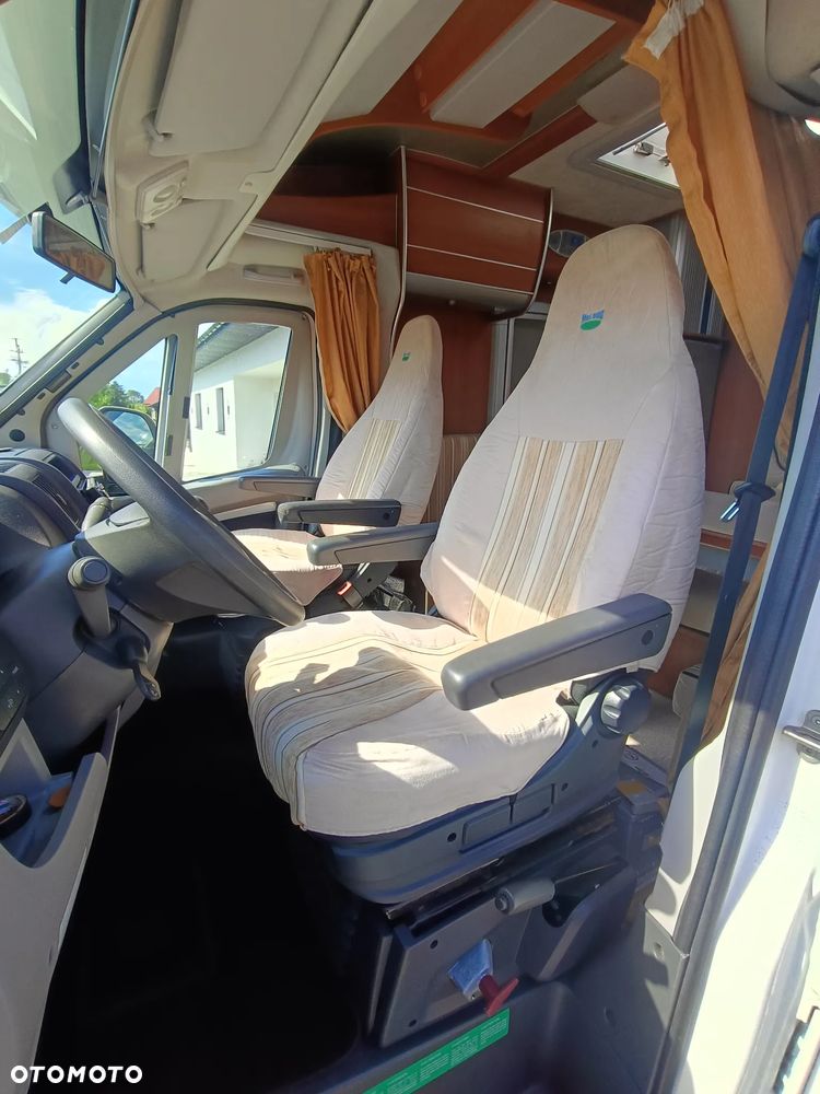 McLOUIS Ducato - 15