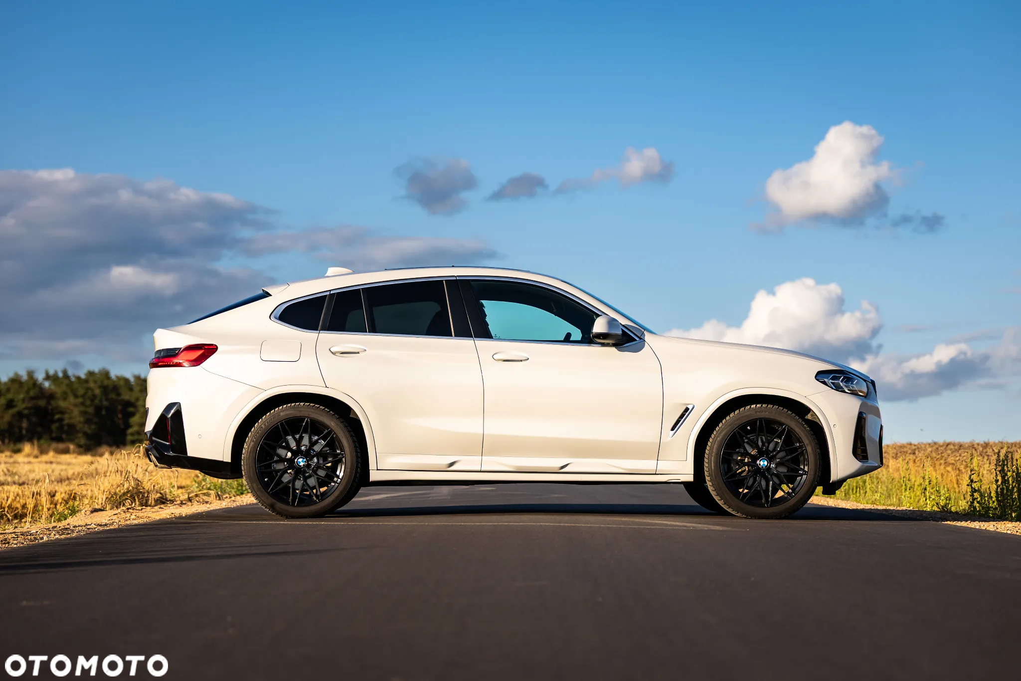 BMW X4 xDrive30i M Sport X - 7